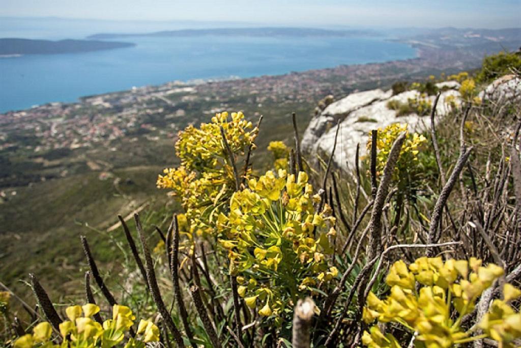 Apartmani Strada Kaštela Esterno foto
